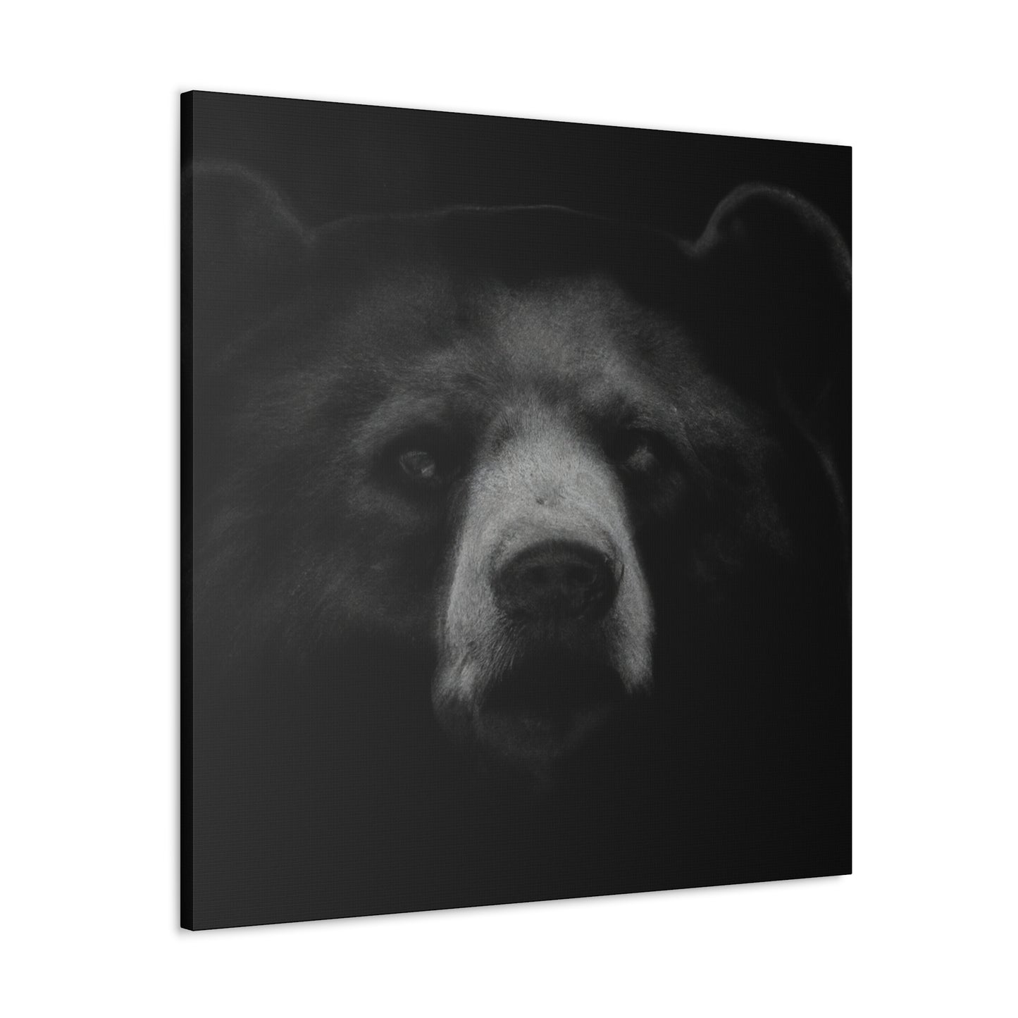 Asiatic Black Bear Gnos - Canvas