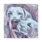 "Weimaraner In Impressionism" - Canvas