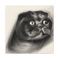 Scottish Fold Innocence - Canvas