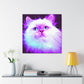 Ragdoll in Motion - Canvas