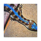 Blue-Tongue Skink Mosaic - Canvas