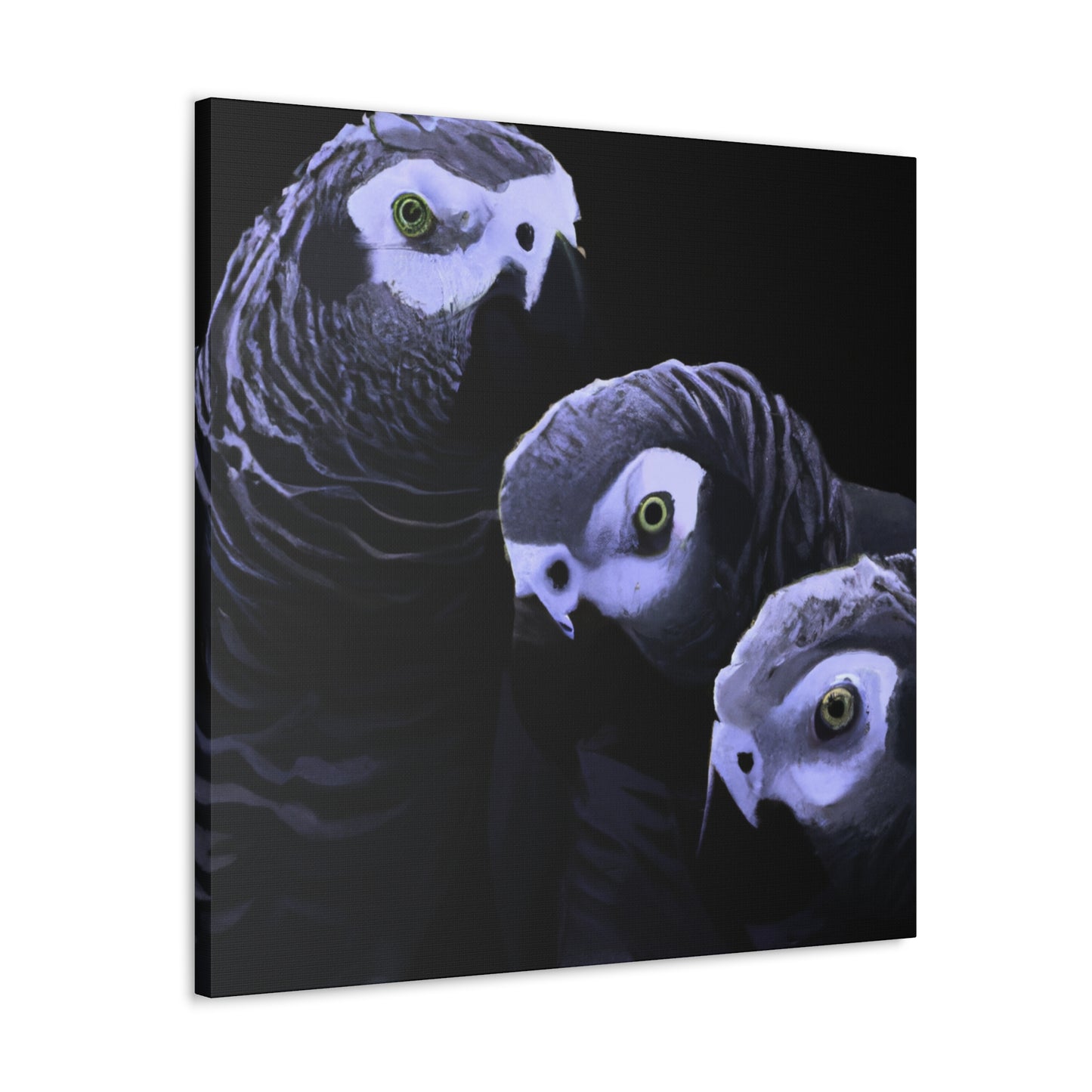 "African Greys Zenith" - Canvas