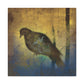 Mourning Dove Remorseful - Canvas