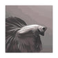 Bright Betta Portrait - Canvas