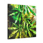 Cannabis Sativa Impression - Canvas