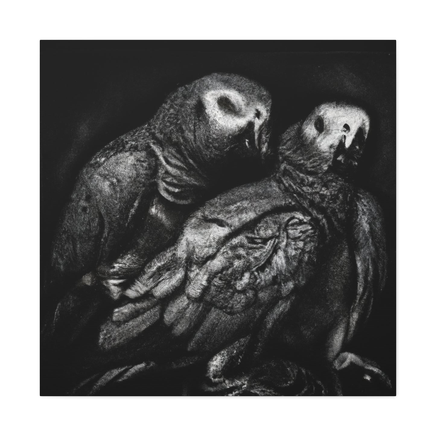 African Greys Regal - Canvas