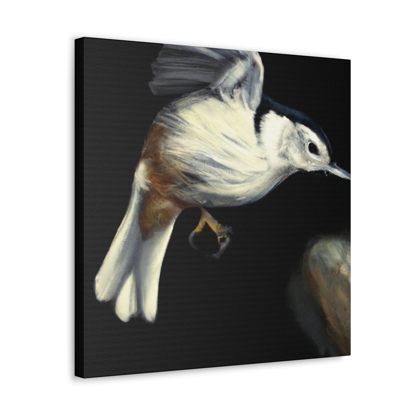 White-breasted Nuthatch Wonder - Canvas