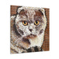 "Scottish Fold Sunrise Scene" - Canvas