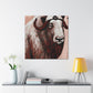 Musk Ox Splendor. - Canvas