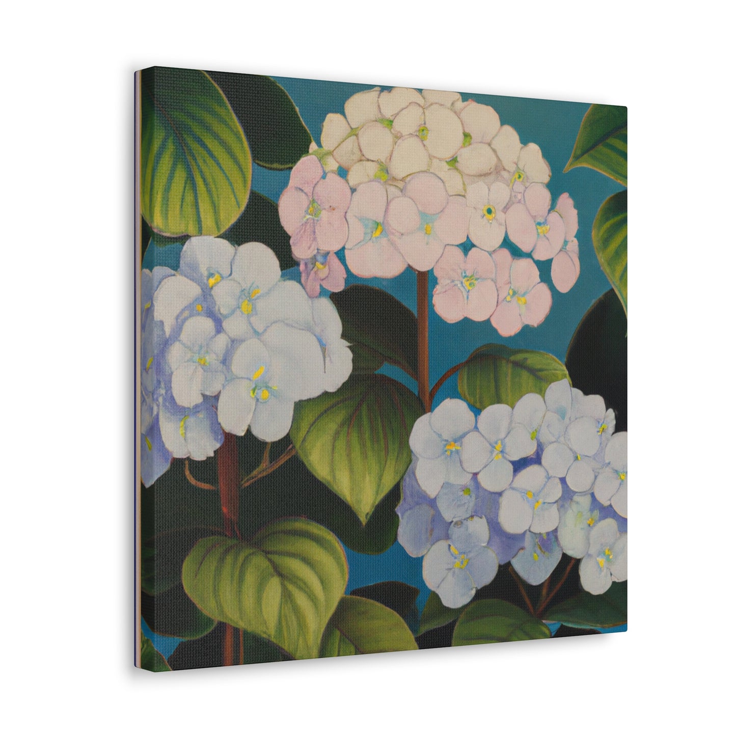 "Velvet Lace Hydrangea" - Canvas