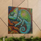 Veiled Chameleon Dream - Canvas