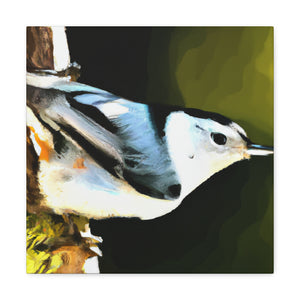 "White Breasted Nuthatch" - Canvas