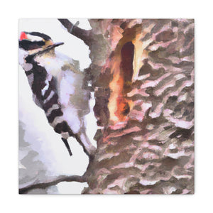 "Downy Woodpecker Impression" - Canvas