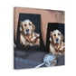 Golden Retriever Radiance - Canvas