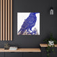 American Crow Portrait - Canvas