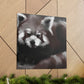 Red Panda Splendor - Canvas