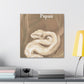 Python in the Rococo - Canvas