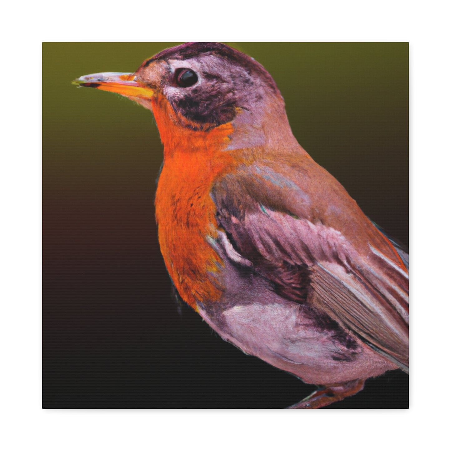 "American Robin in Oil" - Canvas