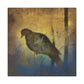 Mourning Dove Remorseful - Canvas