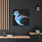 Mourning Dove Reverie - Canvas