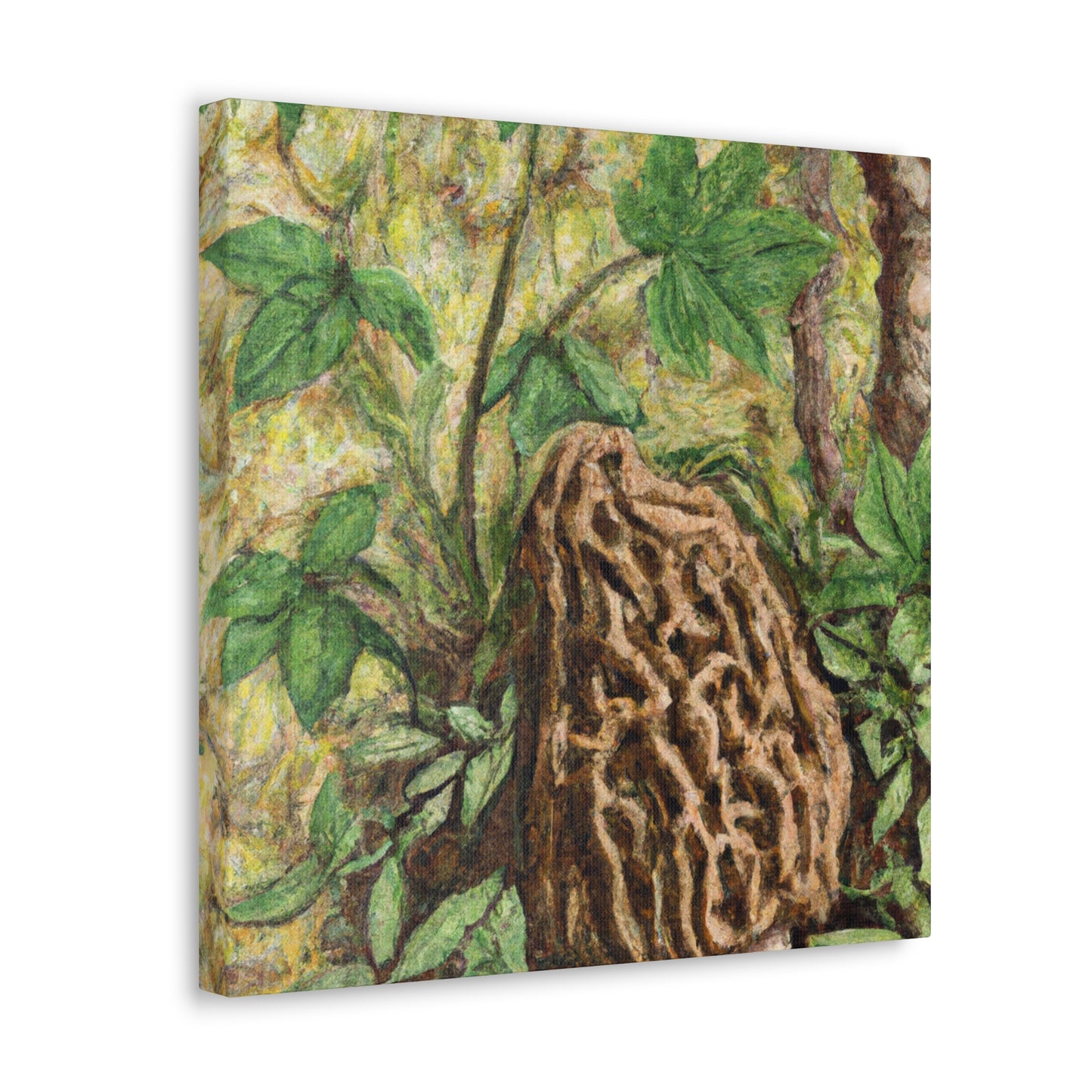 Morel in Splendour. - Canvas