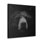 Asiatic Black Bear Gnos - Canvas