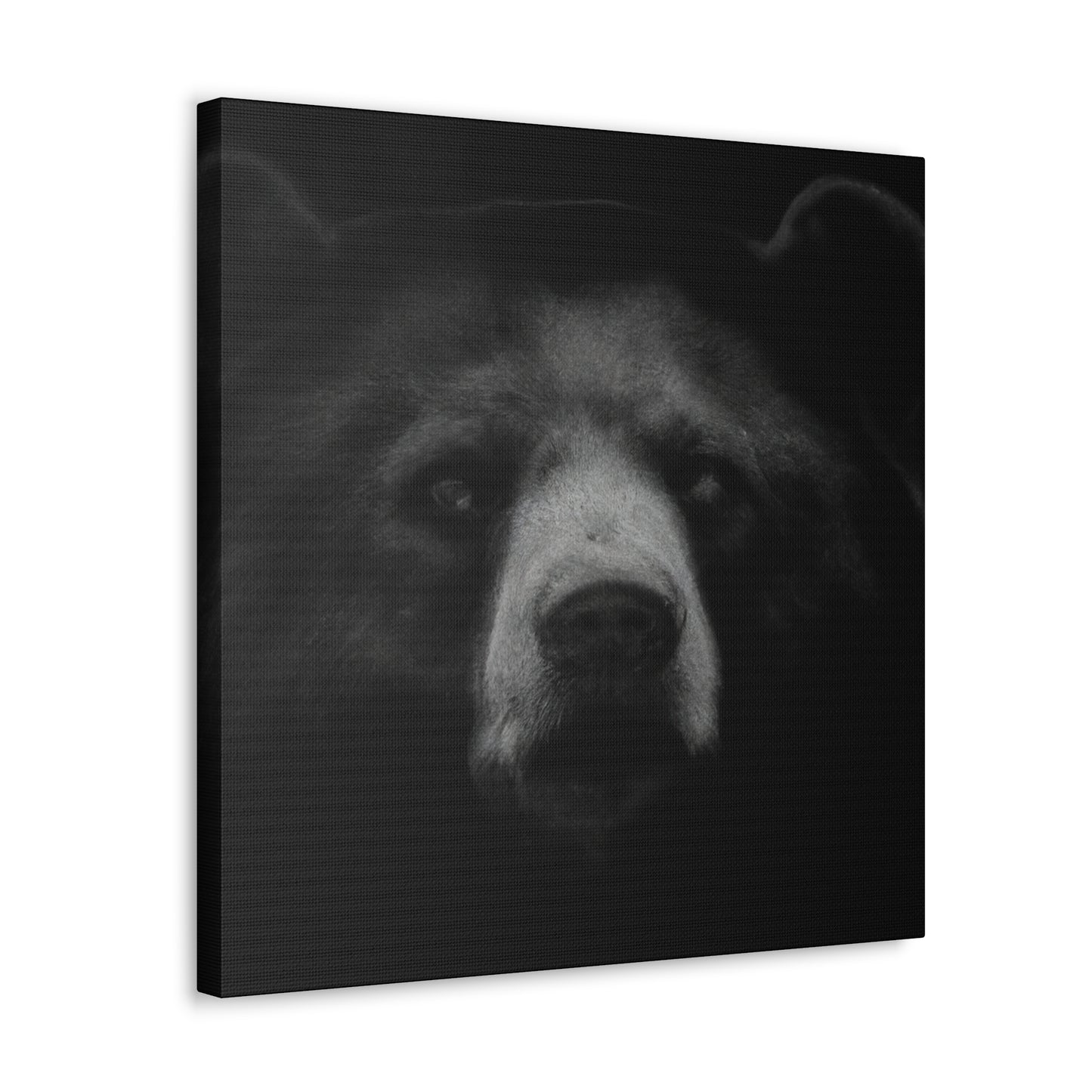 Asiatic Black Bear Gnos - Canvas