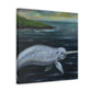 "Narwhal in Moonlight" - Canvas