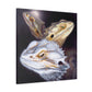 Bearded Dragon Beauty - Canvas