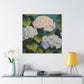 "Velvet Lace Hydrangea" - Canvas