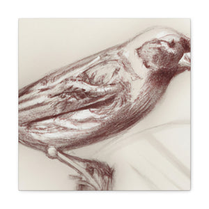 House Finch in Abstraction - Canvas