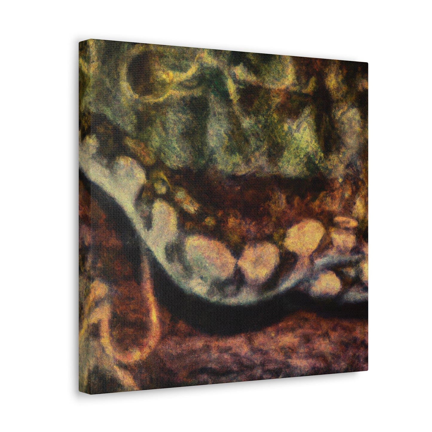 Python in a Dream - Canvas