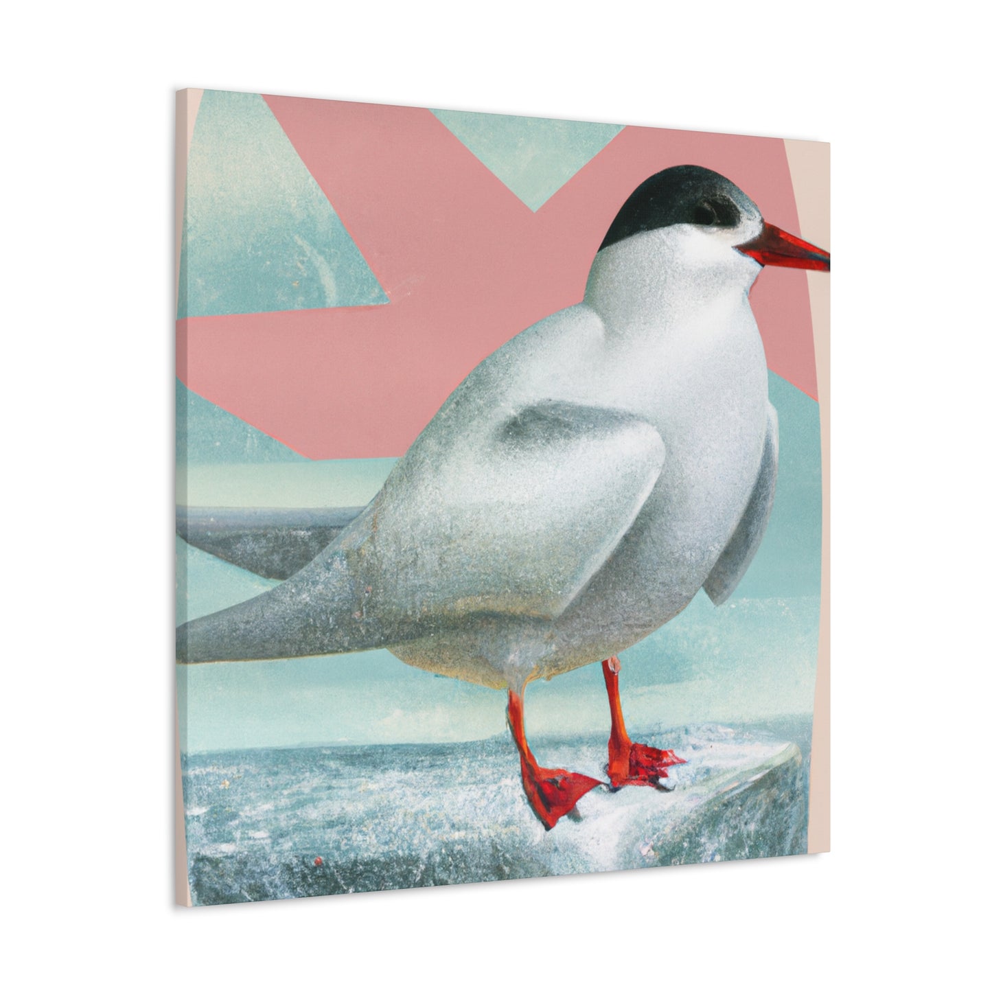 Arctic Tern Brilliance - Canvas