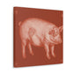 Pig in Splendour. - Canvas