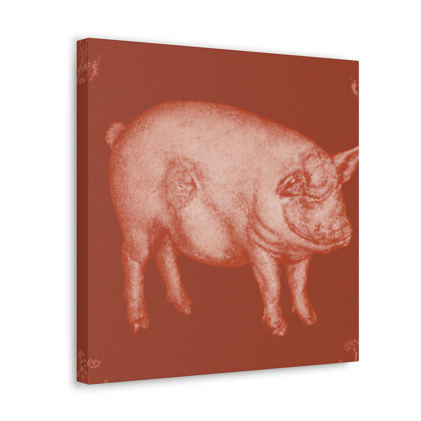 Pig in Splendour. - Canvas