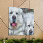 "Great Pyrenees Impressionism" - Canvas