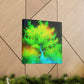 Elm of Grandeur - Canvas