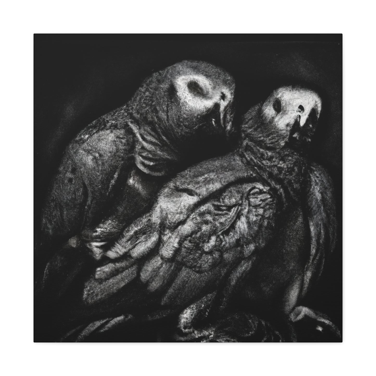 African Greys Regal - Canvas