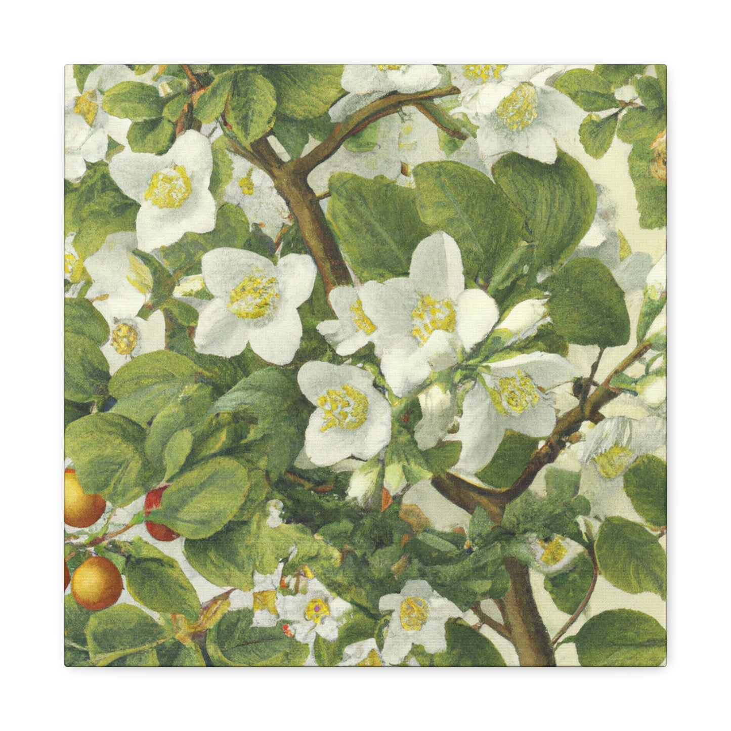 Jasmine in Renaissance Glory - Canvas