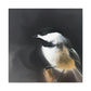 "Chickadee in the Spring". - Canvas