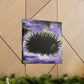 "Sea Urchin Embrace Ebb" - Canvas