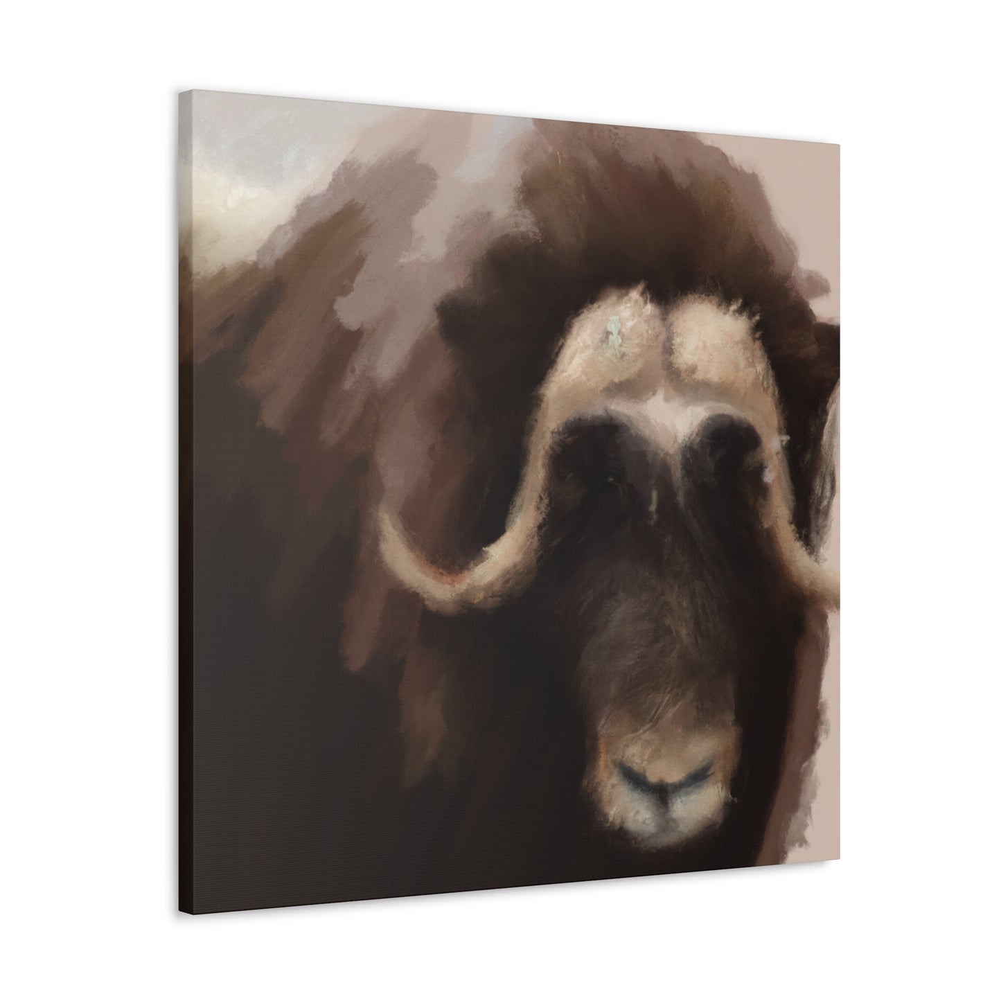 Musk Ox Majesty - Canvas