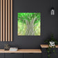 Banyan Tree Illusionist - Canvas