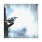 "White-Breasted Nuthatch Bliss" - Canvas