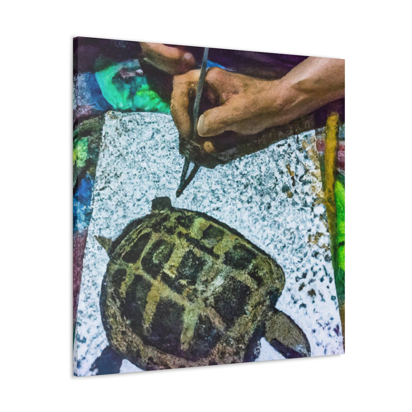 Russian Tortoise Symphony - Canvas