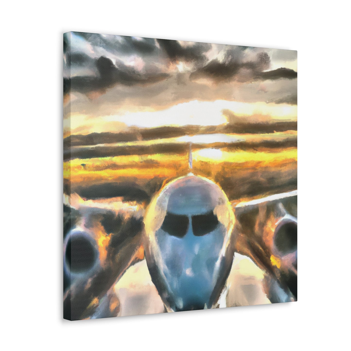 Aerial Aviation Beauty - Canvas