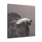 Bright Betta Portrait - Canvas