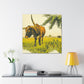 Lone Star Longhorns - Canvas