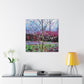 "Dogwood in Springtime" - Canvas