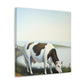 "Milky Dream of Cows" - Canvas